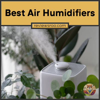 Best Air Humidifiers
