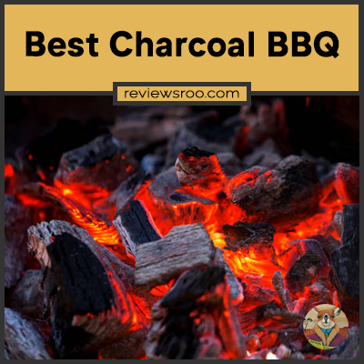 Best Charcoal BBQ