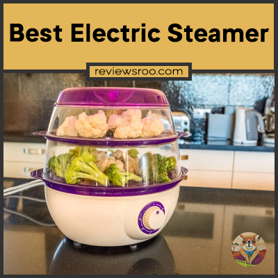 Best Electric Steamer