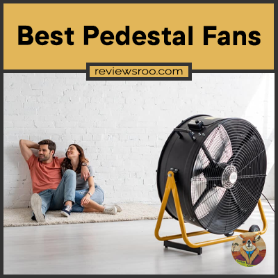 Best Pedestal Fans