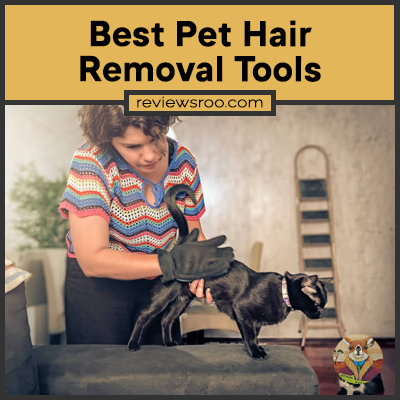 Best Pet Hair Removal Tools