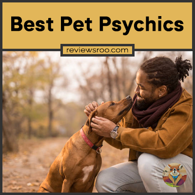 Best Pet Psychics