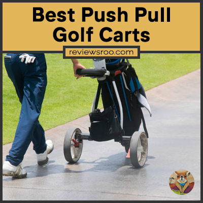 Best Push Pull Golf Carts