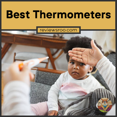 Best Thermometers